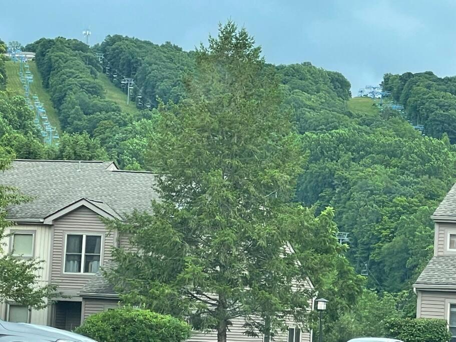 이스트스트로즈버그 Pocono Shawnee Mountain Townhouse 빌라 외부 사진